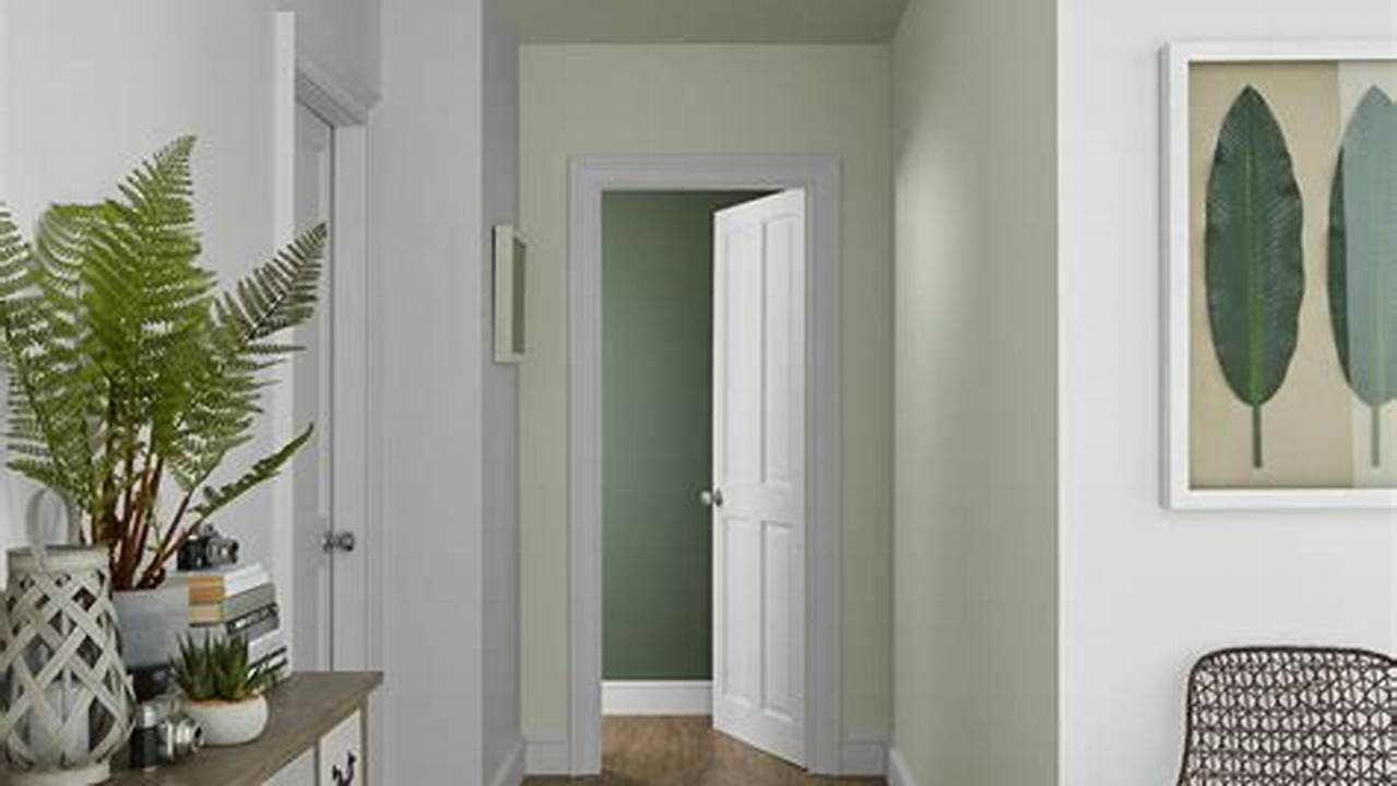 Hallway Color Ideas 2024
