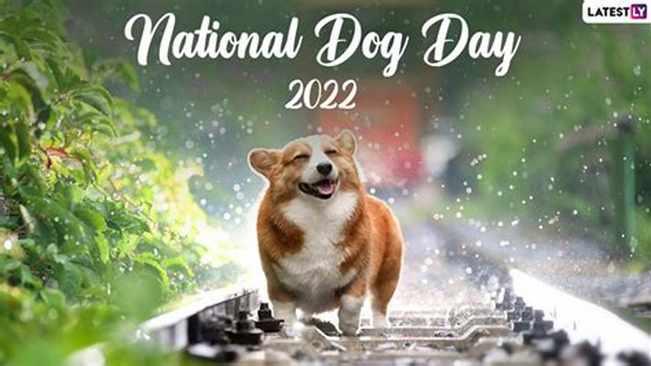 Happy Dog Day 2024 Election