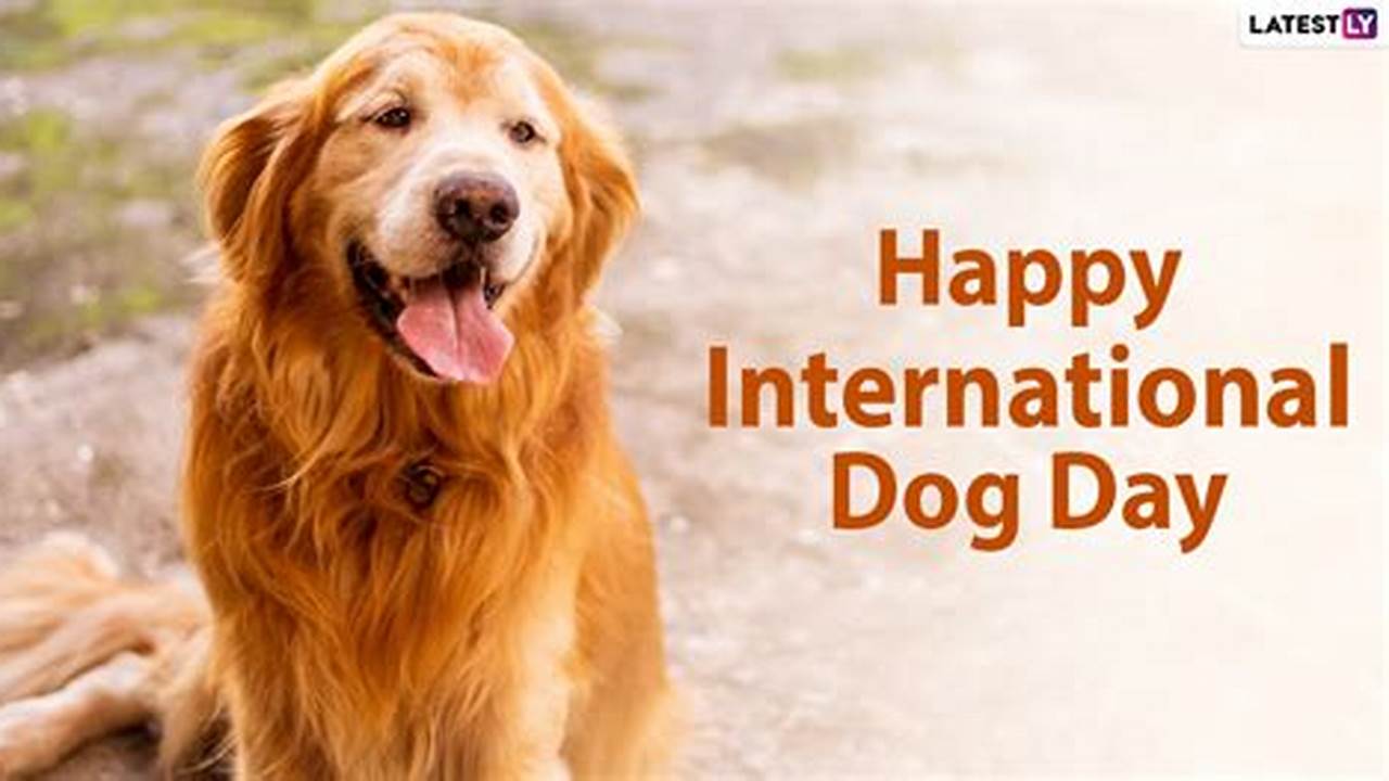 Happy International Dog Day 2024