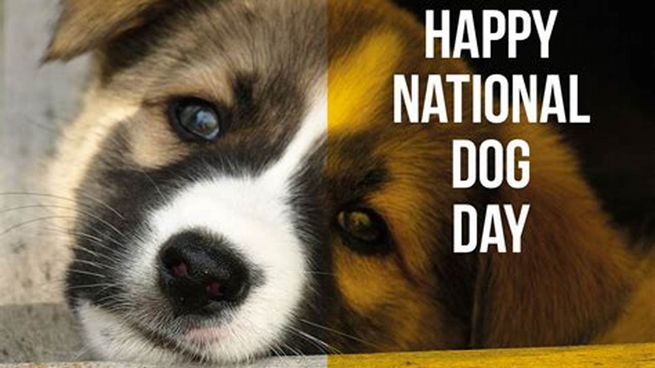 Happy National Dog Day 2024 Election