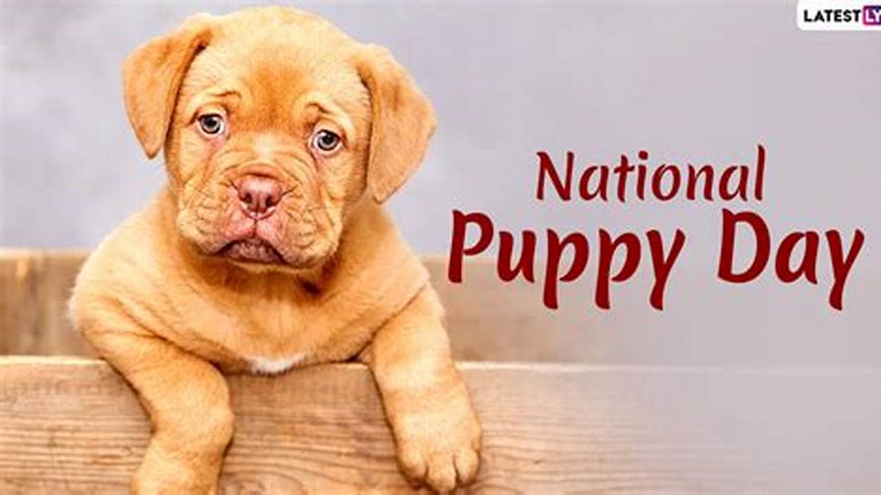 Happy National Puppy Day 2024 Calendar