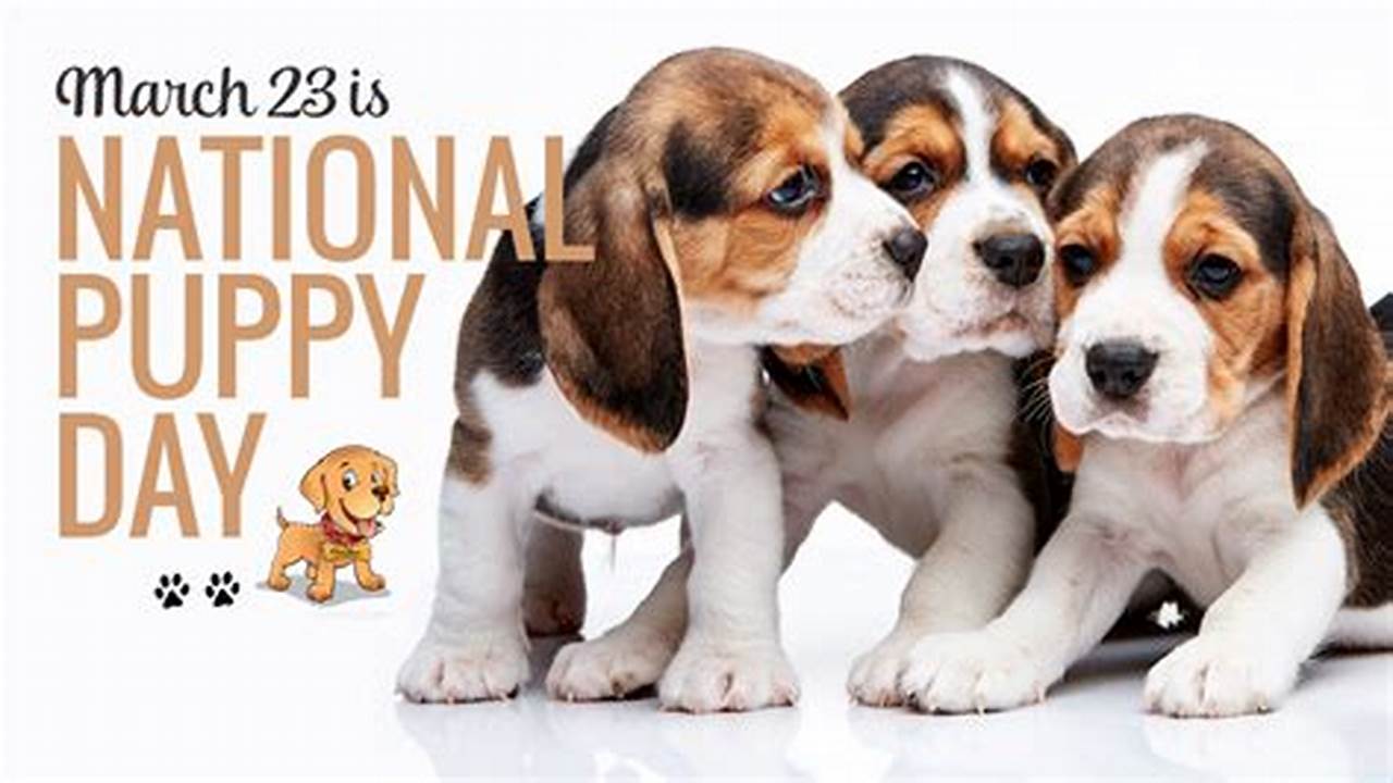 Happy National Puppy Day 2024 Olympics