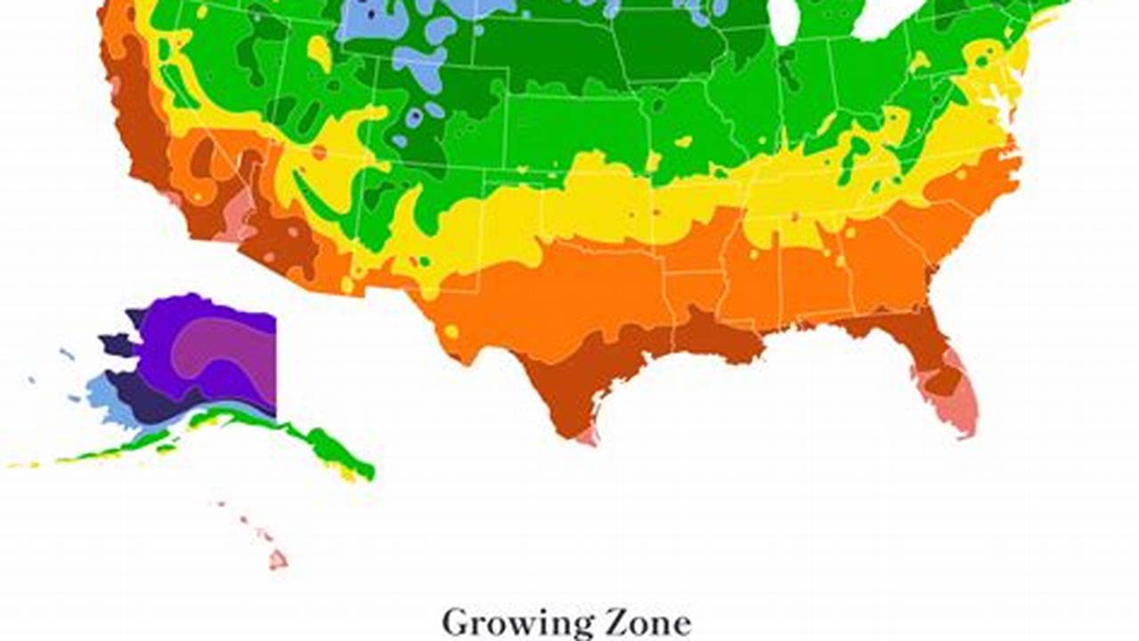 Hardiness Zone Map 2024