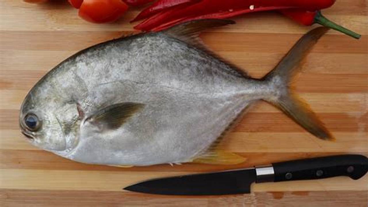 Harga Terjangkau - Ikan Bawal Putih Merupakan Ikan Yang Harganya Terjangkau Sehingga Dapat Dinikmati Oleh Semua Kalangan Masyarakat., Resep8-10k