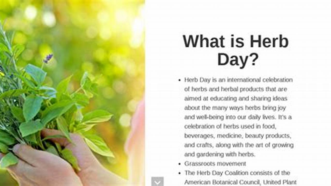 Herb Day 2024