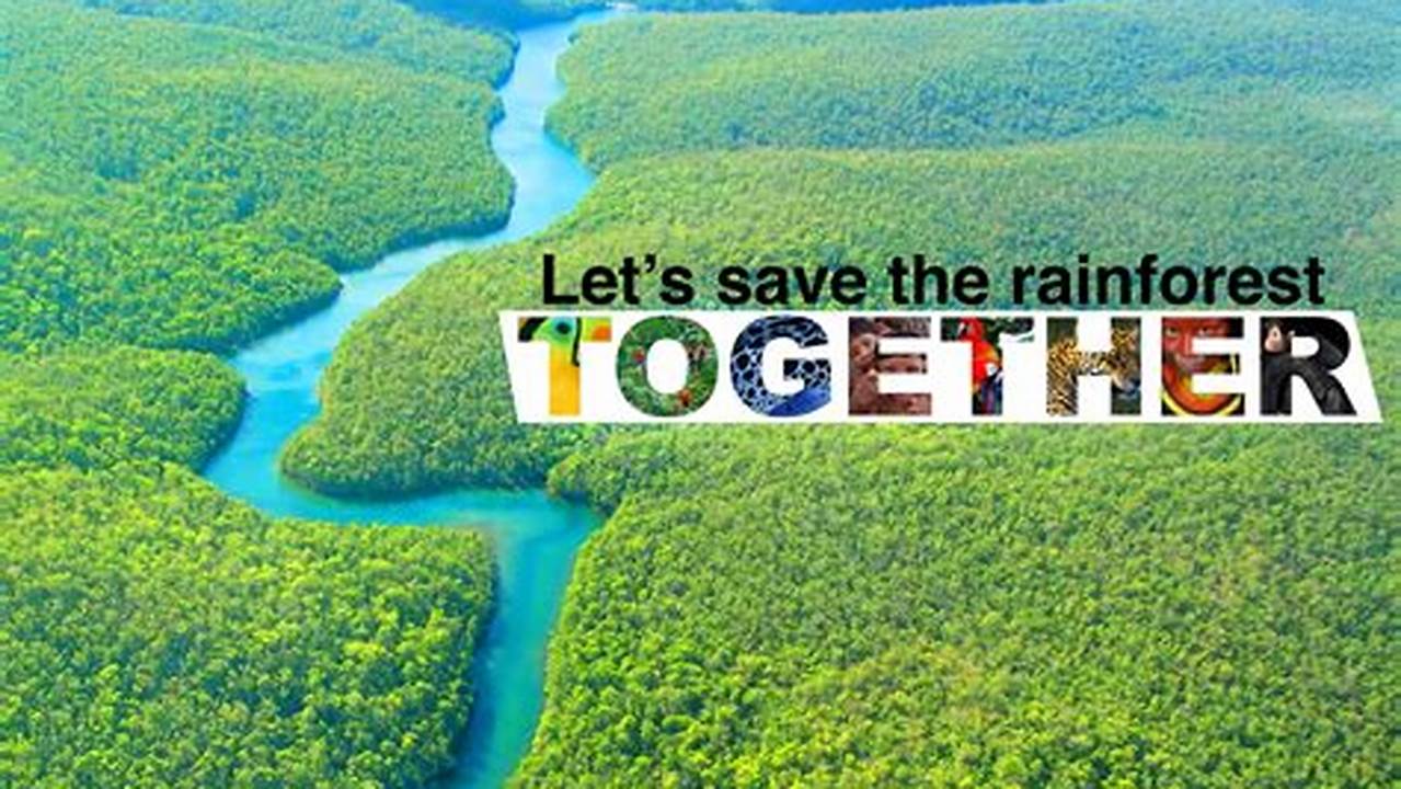 Here Are Four Strategies That The Country Can Put In Place To Protect The Amazon Rainforest And, At The Same Time, Provide An Economic Path To Green Recovery,., Images