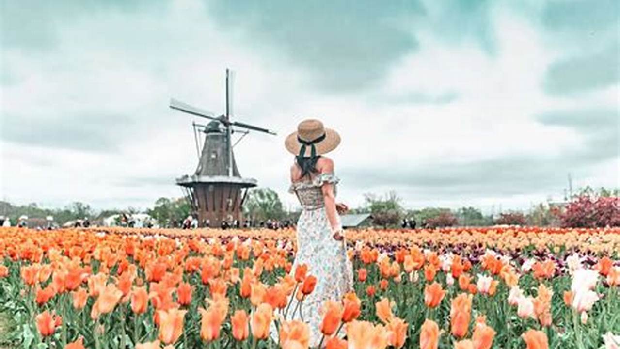 Holland Michigan Tulip Festival 2024 History