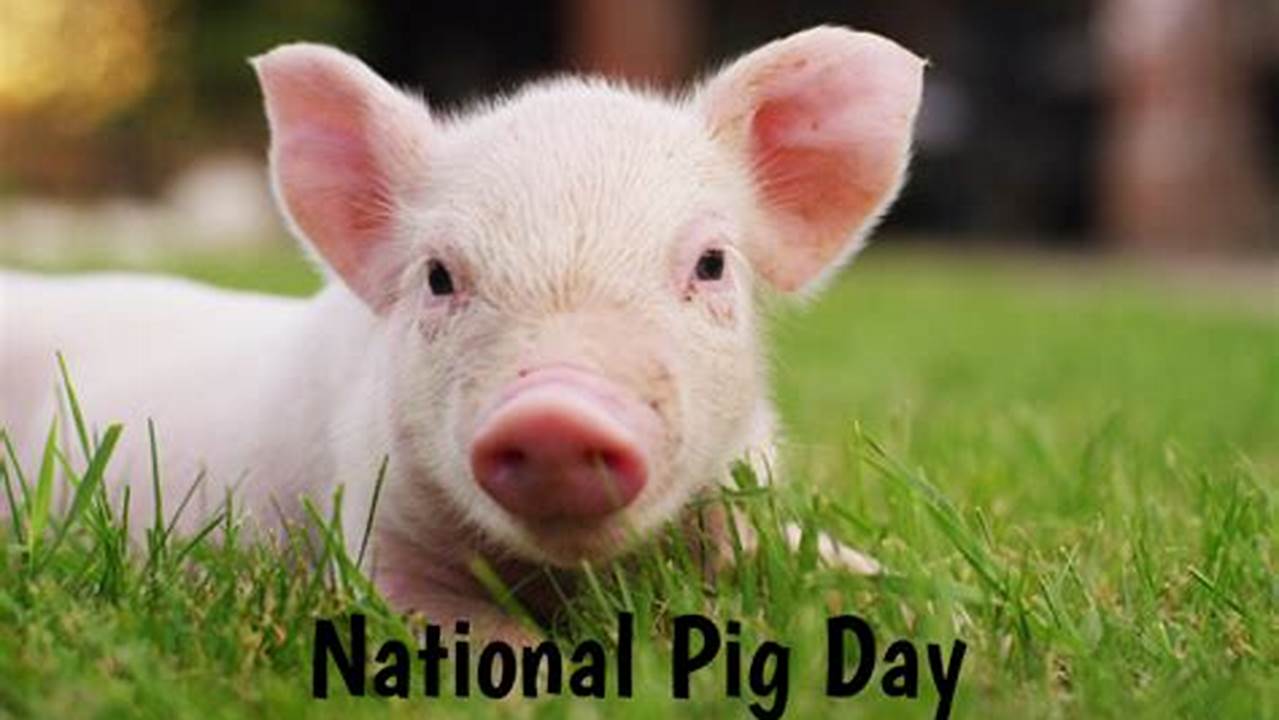Hong Kong Observes National Pig Day On March 12 Every Year In Order To Celebrate The Lulu Pig., 2024
