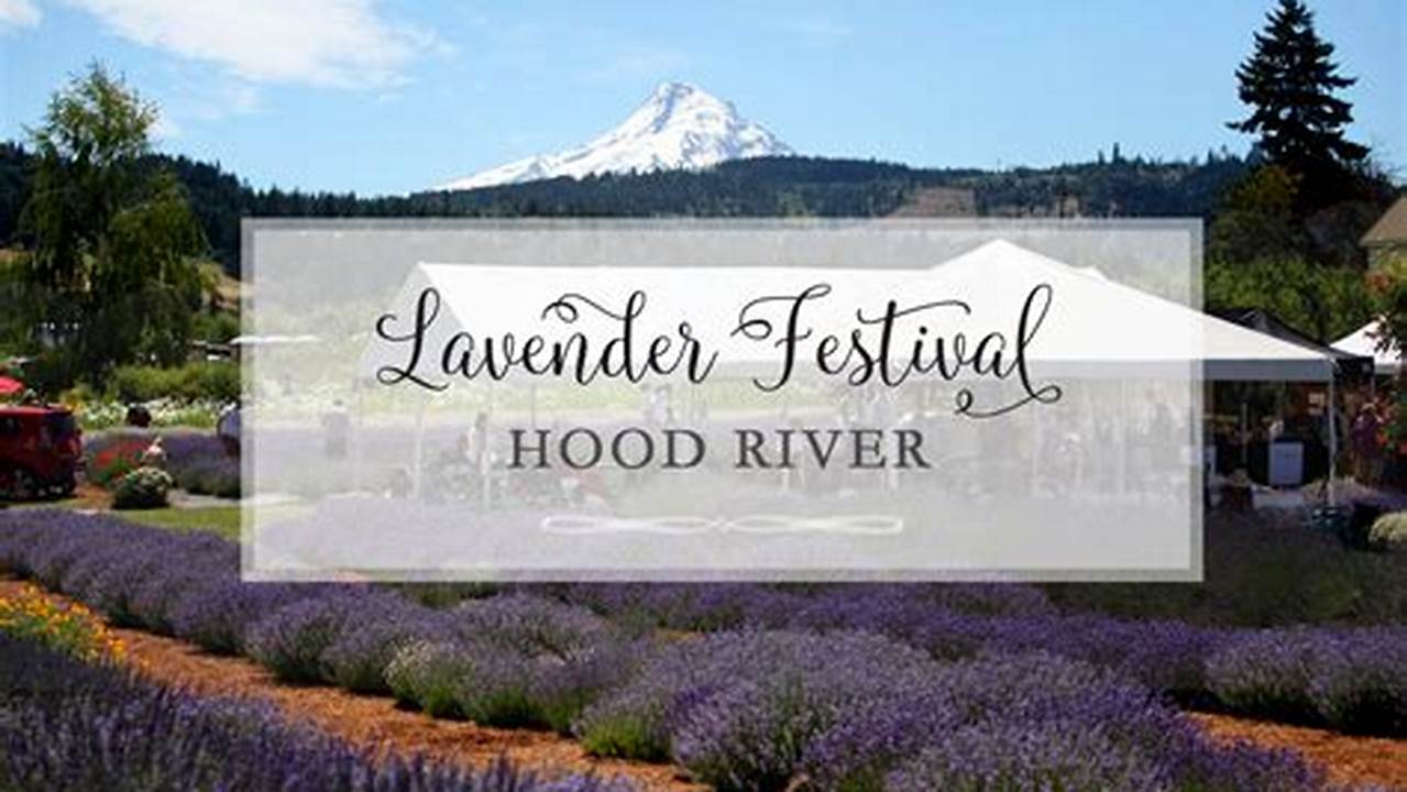 Hood River Lavender Festival 2024