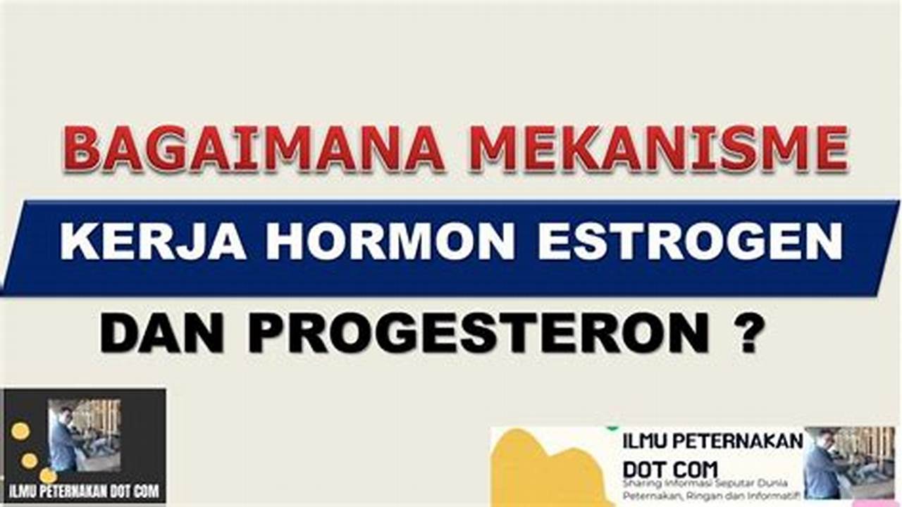 Hormon Estrogen, Resep7-10k