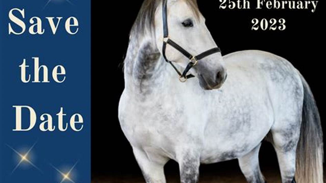 Horse Expo 2024 California