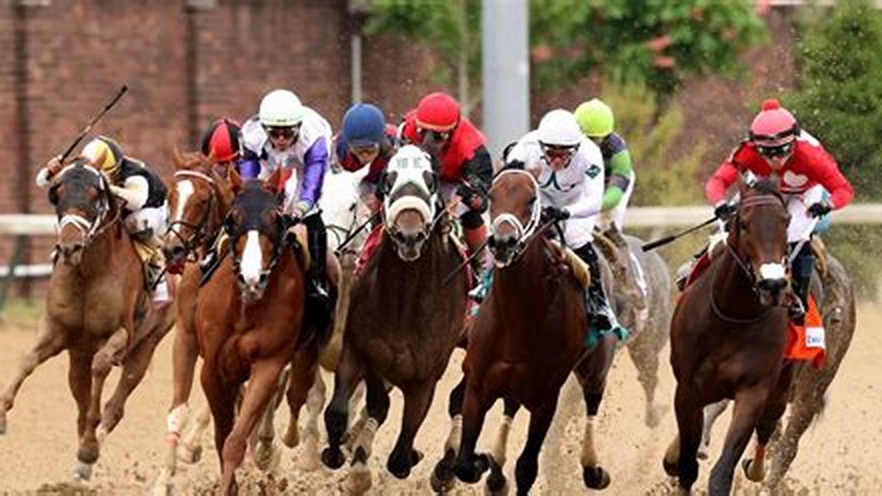 Horses In 2024 Kentucky Derby