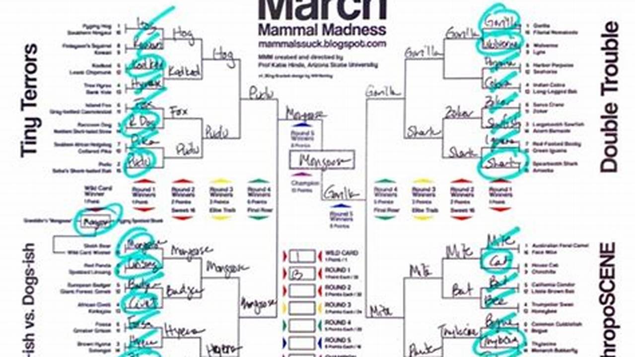 How Do You Play 2024 March Mammal Madness?, 2024