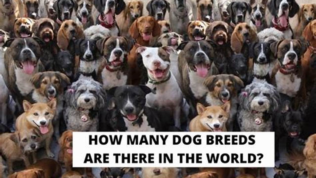 How Many Dogs Are In The World 2024