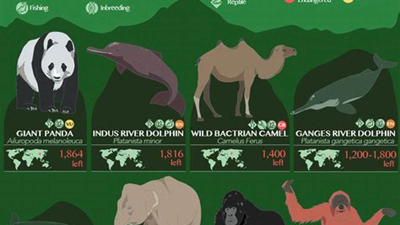 How Many Species Are Endangered 2024