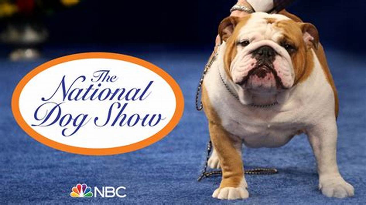 How To Watch Thanksgiving Dog Show 2024