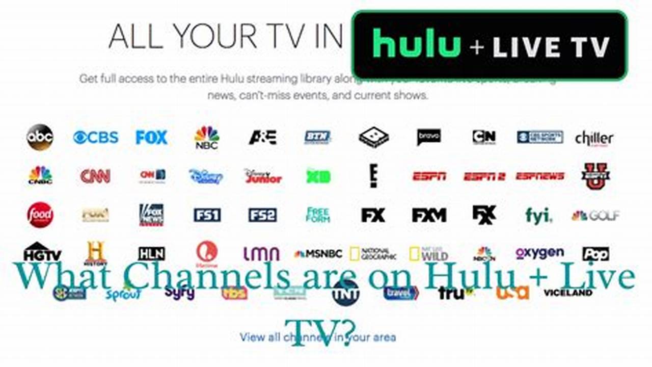 Hulu Channel Lineup 2024