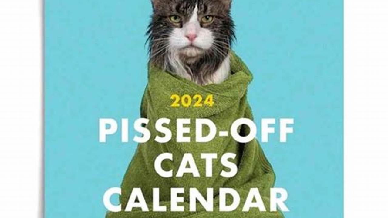 Humorous Pissed Off Cats 2024 Calendar Cats With No Boundaries Calendar Best New., 2024