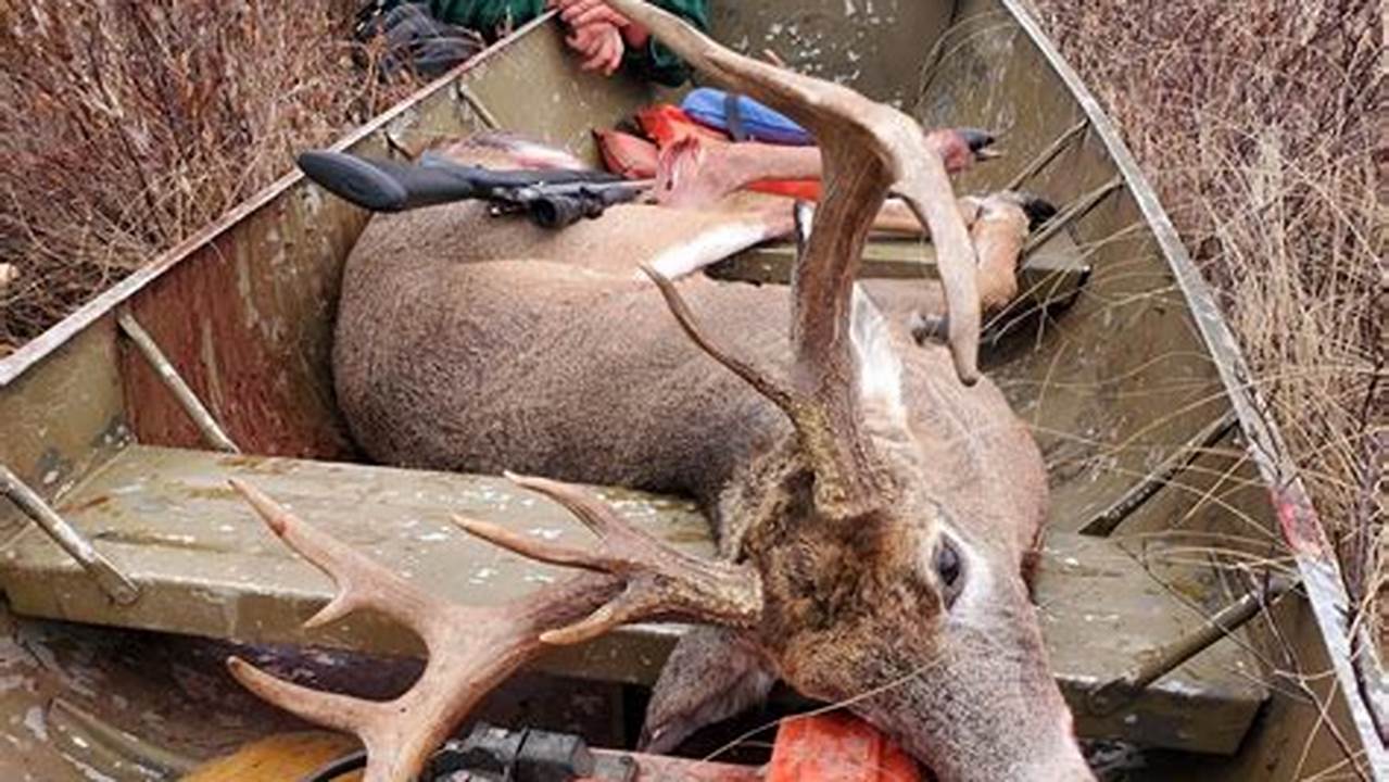 Hunting Season In Maine 2024