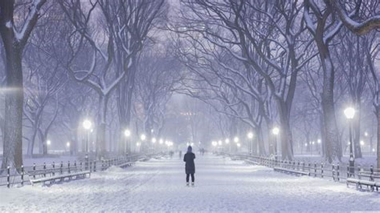 I Love Winter In New York, 2024