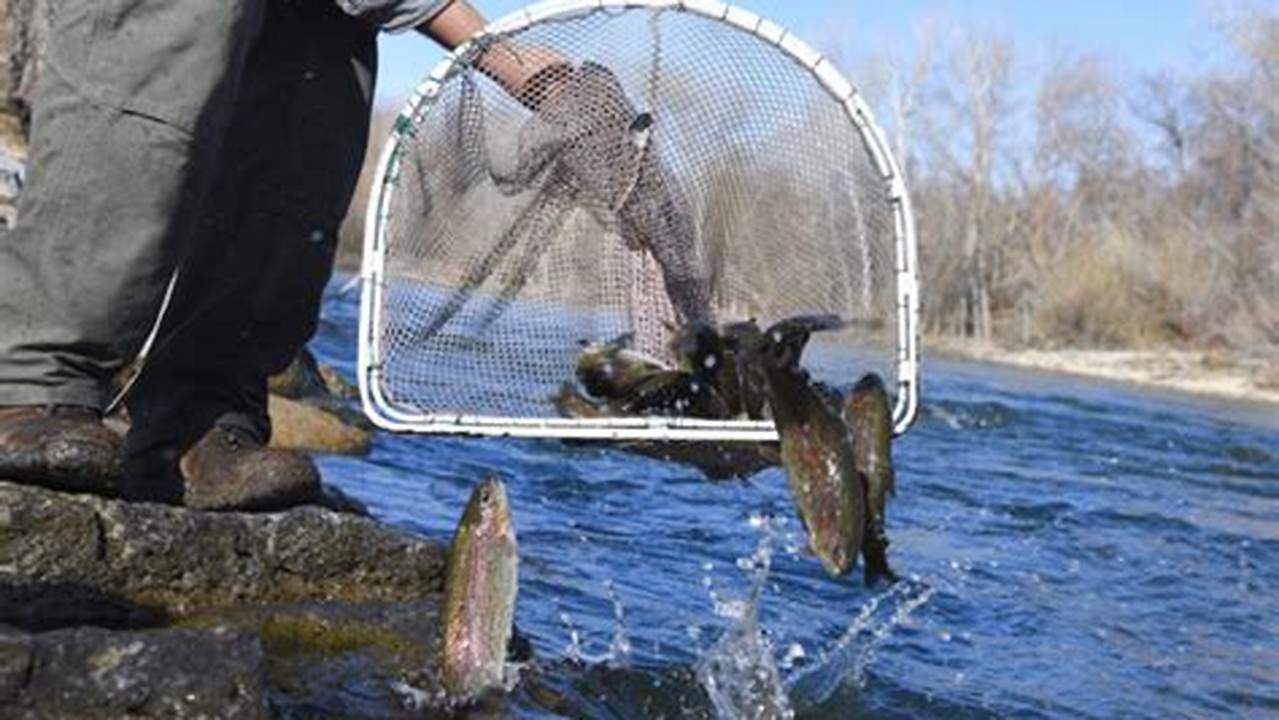 Idaho Fish Stocking 2024