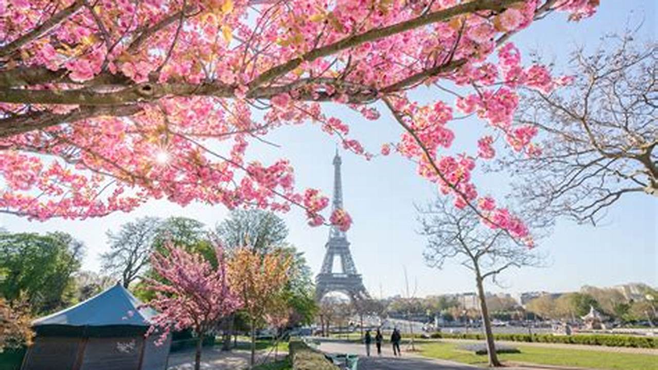 If You’re Planning To Witness The Spectacular Cherry Blossoms In Paris In 2024, It’s Crucial To Time Your Visit Right., 2024