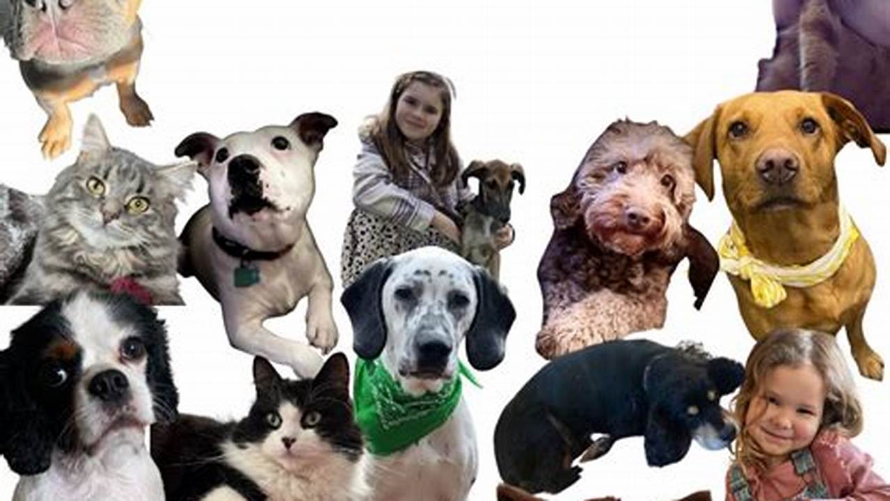 If You’ve Never Heard Of National Love Your Pet Day, This Guide Will Introduce., 2024