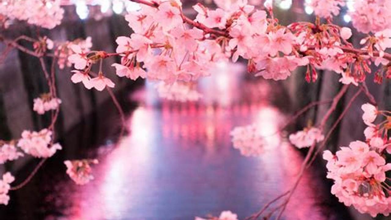 If You Have Visited Tokyo Between Late March And Early April, Then Chances Are You Have Witnessed The Enchanting Sight Of Cherry Blossoms., 2024