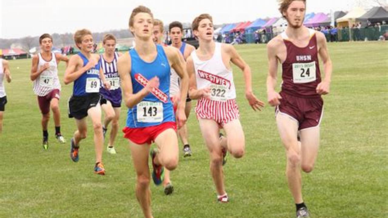 Illinois Ihsa Cross Country Sectionals 2024