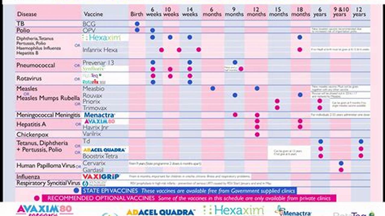 Immunization Chart 2024
