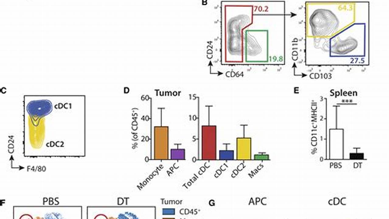In A Mouse Model Of Melanoma, For Example, Tcr T Cells With The Fusion Gene Flowed Into Tumors In Much Greater Numbers And Killed Tumor Cells Much More Effectively Than Tcr T Cells Without The Fusion Gene., 2024