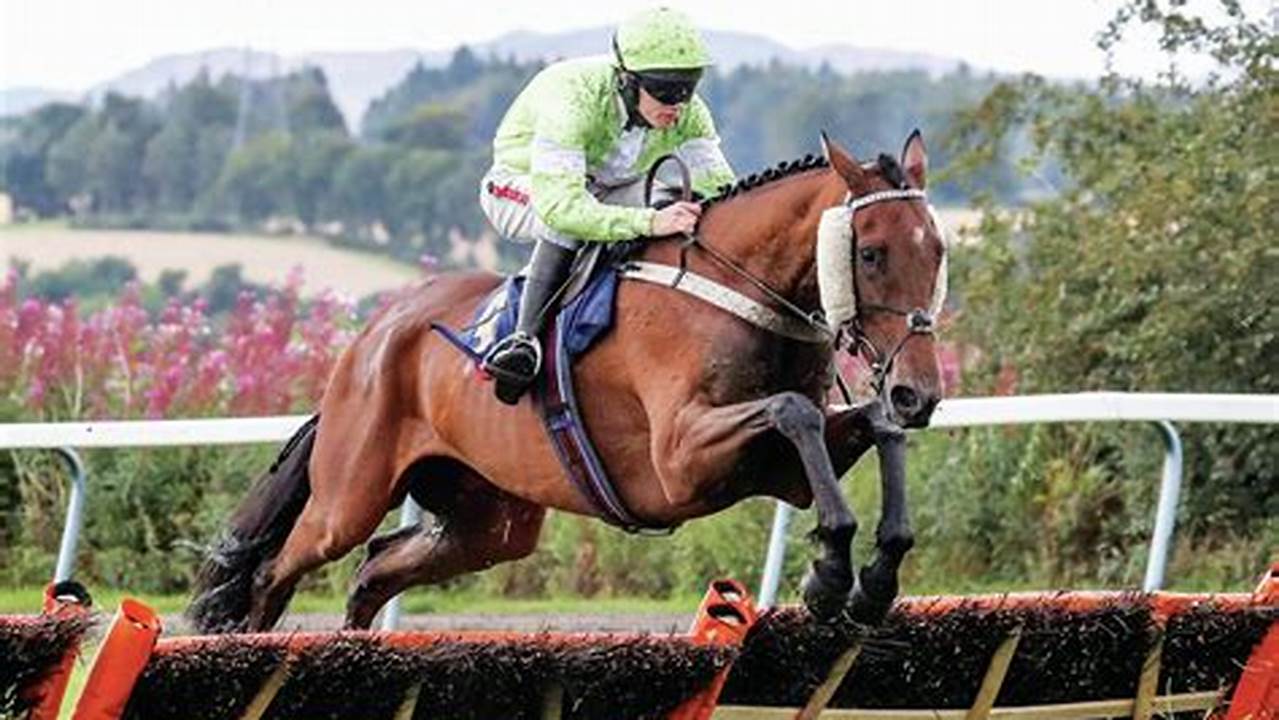 Including Irish Gold Cup Tips, Irish Champion Hurdle Tips, Race History, Betting Trends, Racecards, Results And Past., 2024