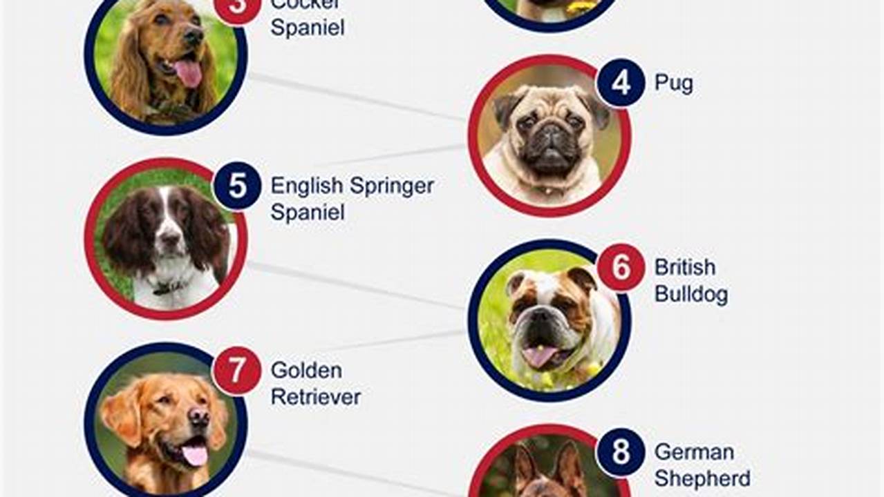 Inforgraphic Of The Top 50 Most Popular Dog Breeds Of 2024, 2024