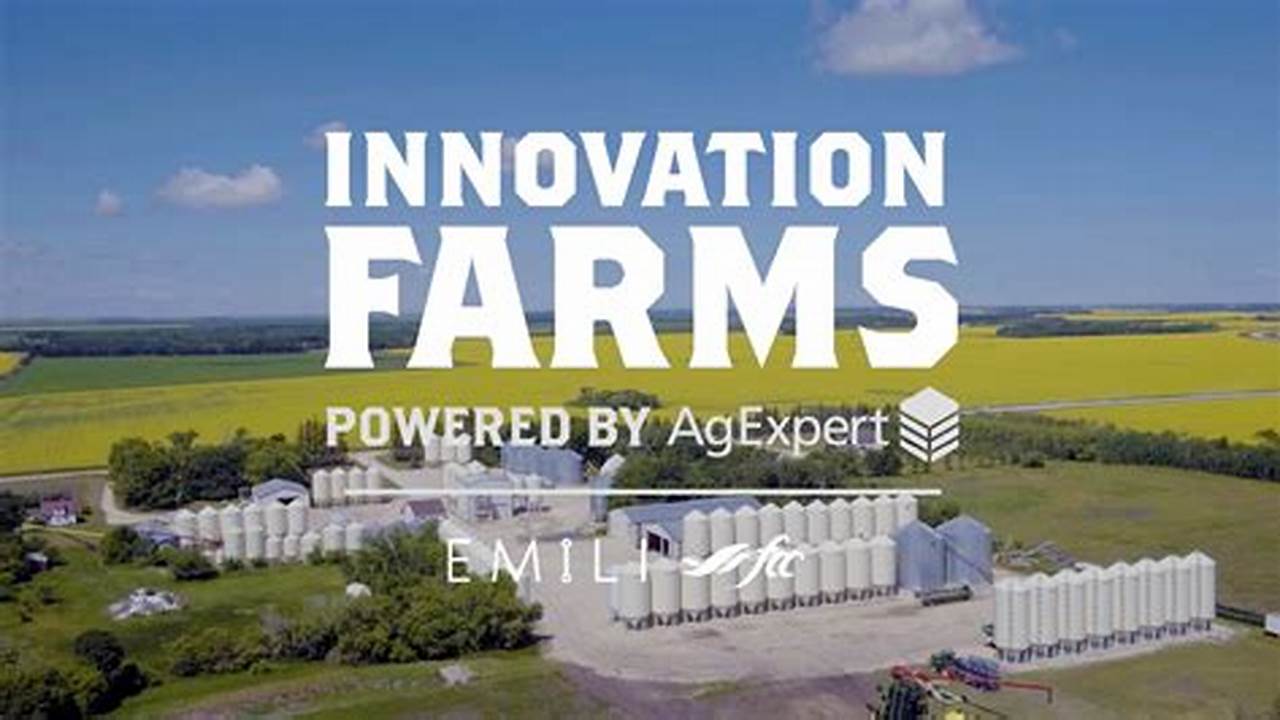 Innovation, Farm Store