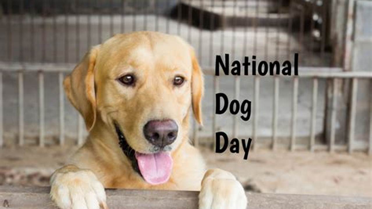 International Dog Day 2024 Date Canada