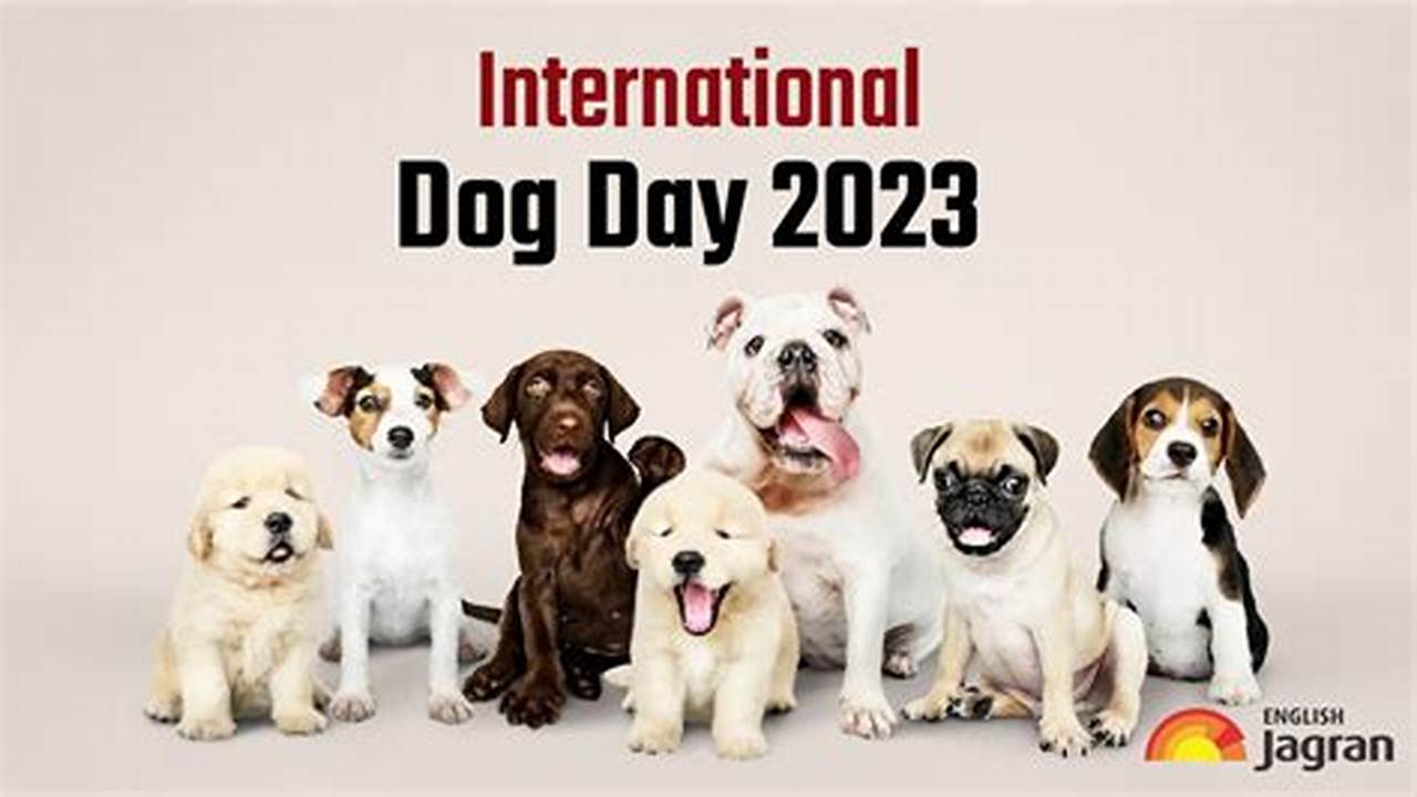 International Dog Day 2024 Date Of