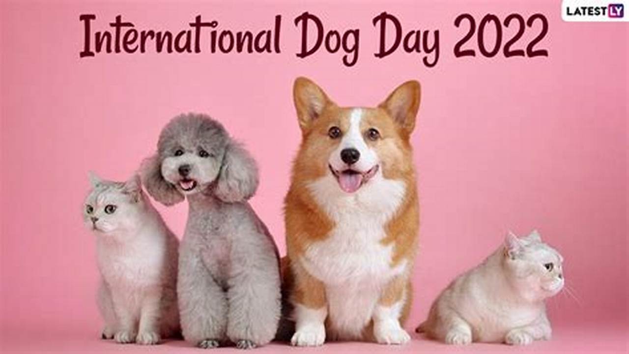 International Dog Day 2024 Date Usa