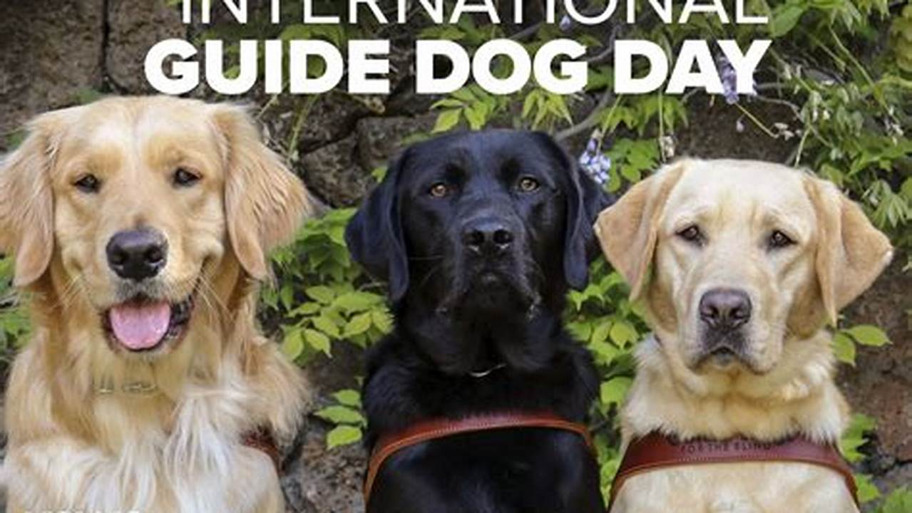 International Guide Dog Day 2024