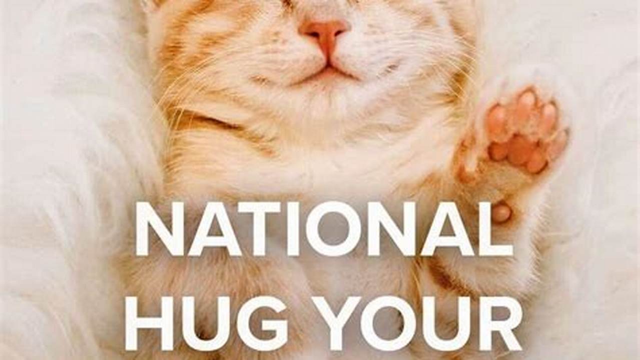International Hug Your Cat Day, Which Is Observed On May 30, Is An Opportunity To Lavish Your Cat With Hugs And Pamper It As It Deserves., 2024