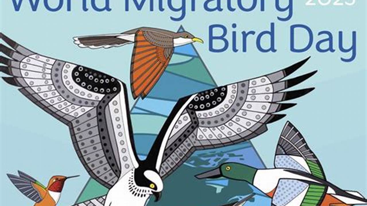 International Migratory Bird Day 2024