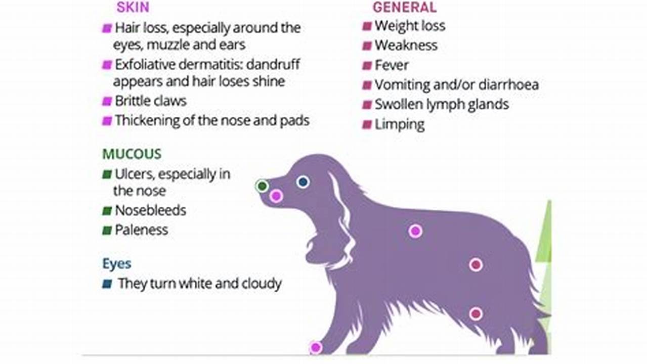 Introductioncanine Leishmaniosis (Canl) Is A Systemic Disease That Affects Dogs., 2024