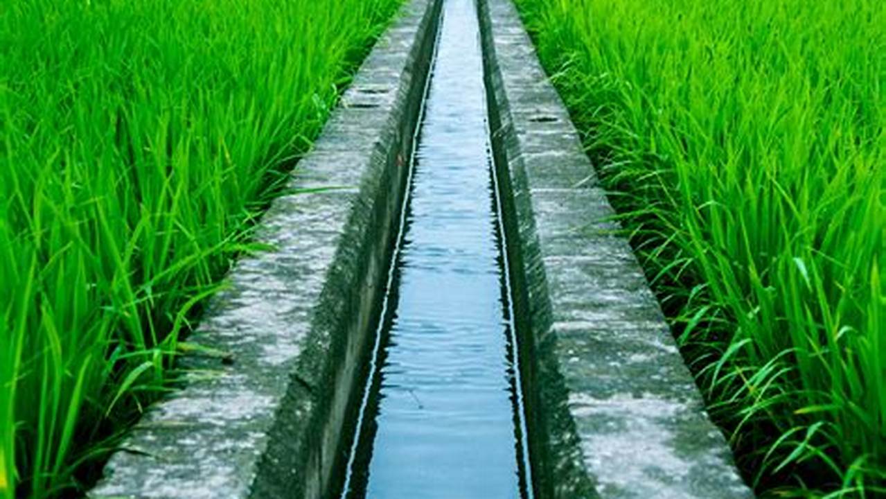 Irrigation, Farming Practices