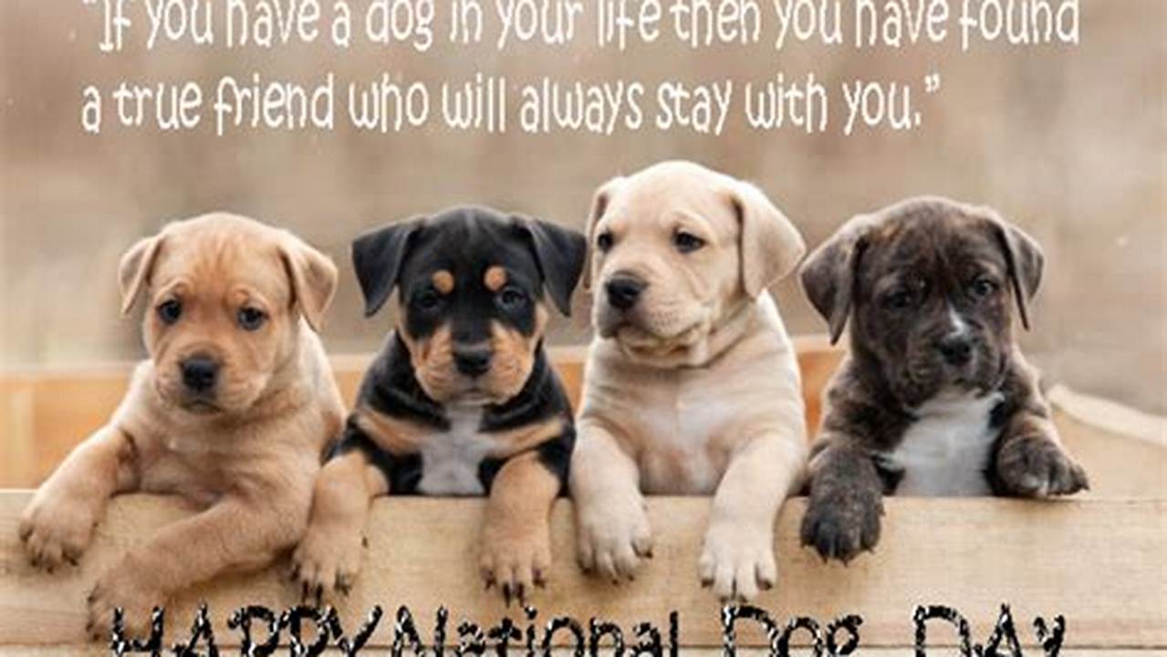 Is Today Happy National Puppy Day