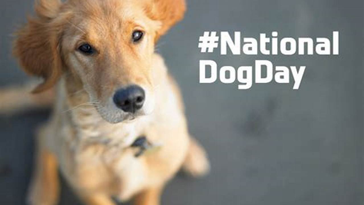 Is Today National Dog Day 2024