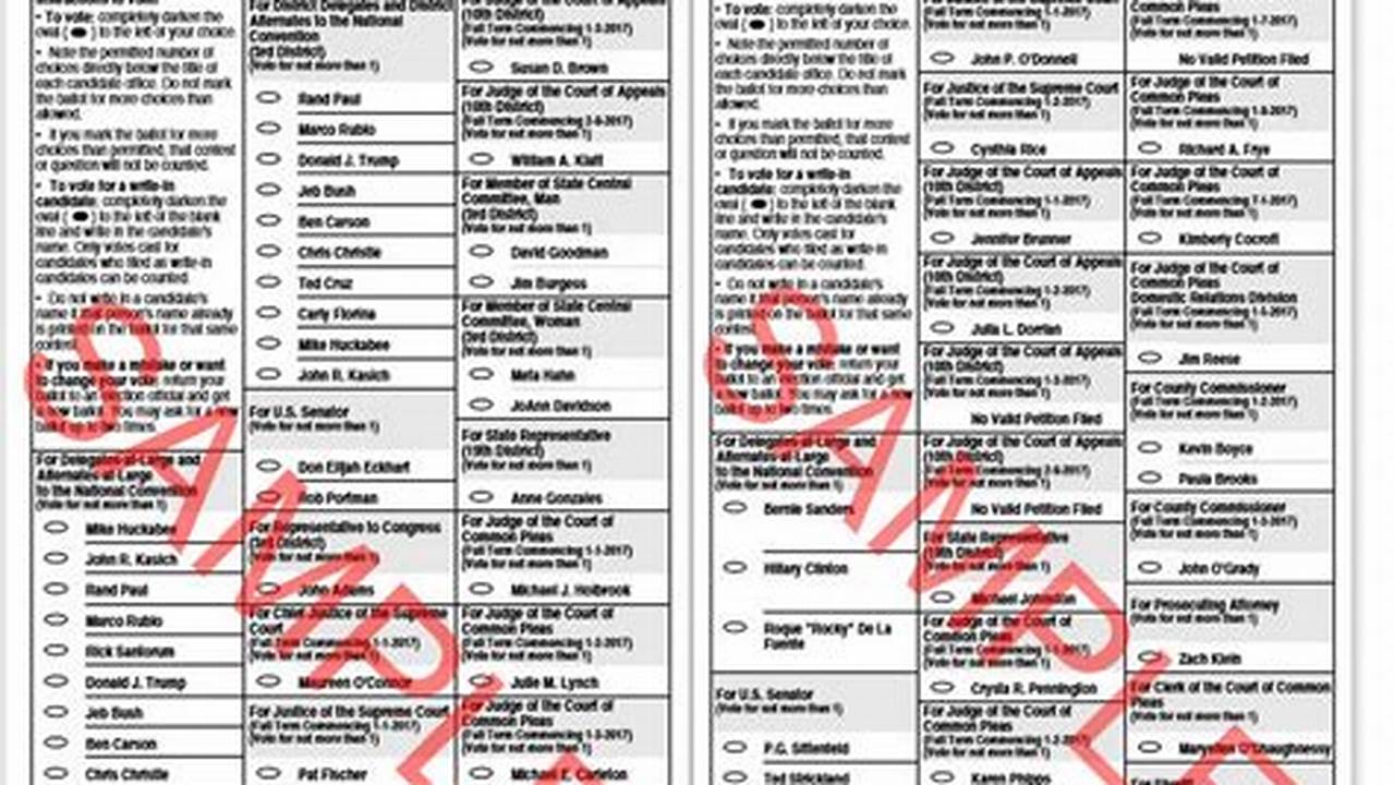 Issues On The Ballot In Ohio November 2024