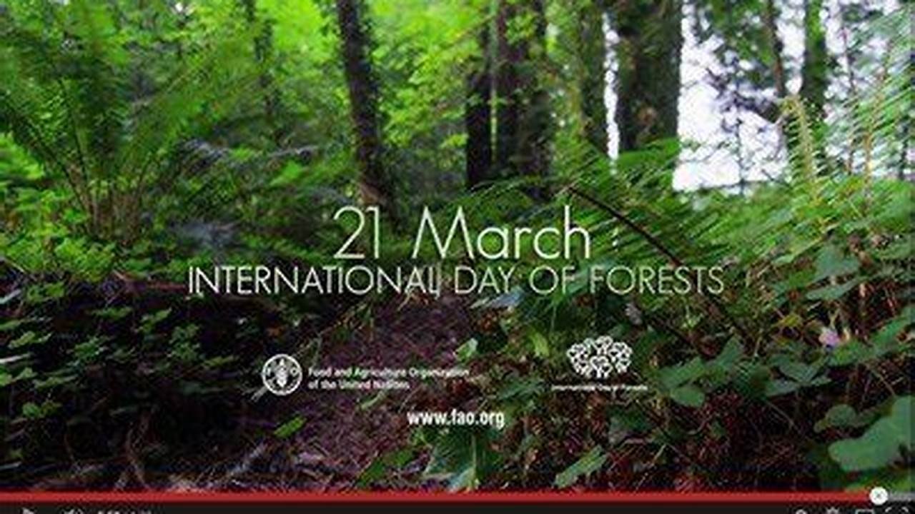 It&#039;s A Dedicated Day To Raise Awareness About The Crucial Role Forests Play In Our Lives And Encourage Efforts Towards Their Conservation And Sustainable., 2024
