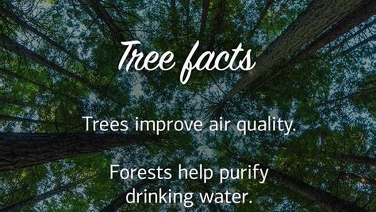 It Is A Special Day To Pay Homage To The Beauty And Importance Of Trees., 2024