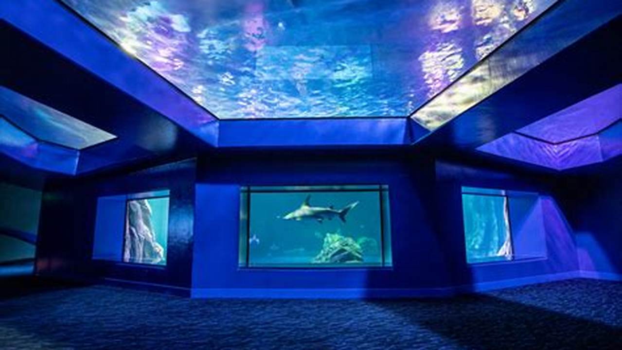 It Offers Guests The Chance To Get Up Close And Personal With A Variety Of Sea Animals,., Images