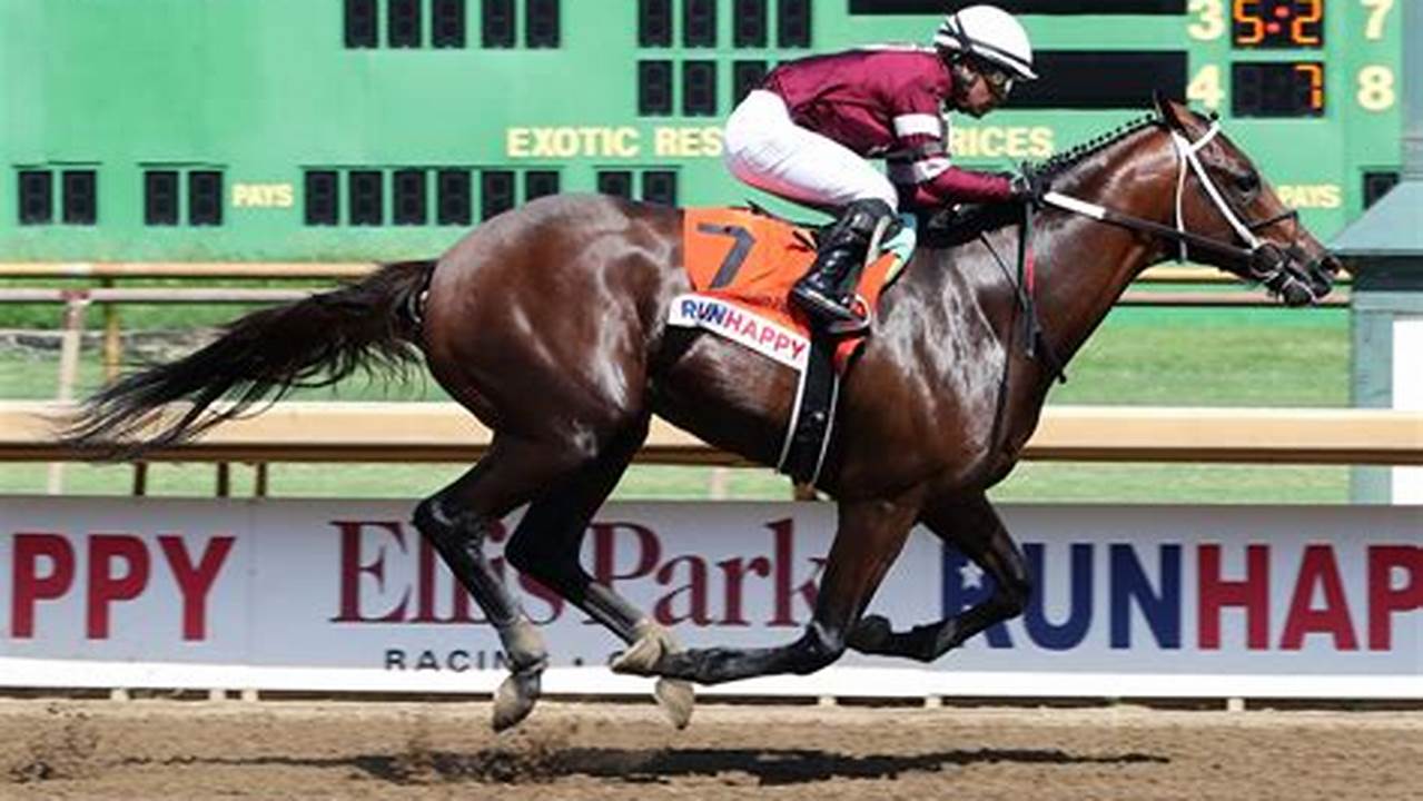 It Took The Gun Runner Colt Two Tries To Break His Maiden, But He’s Trained By A Guy, Todd., 2024