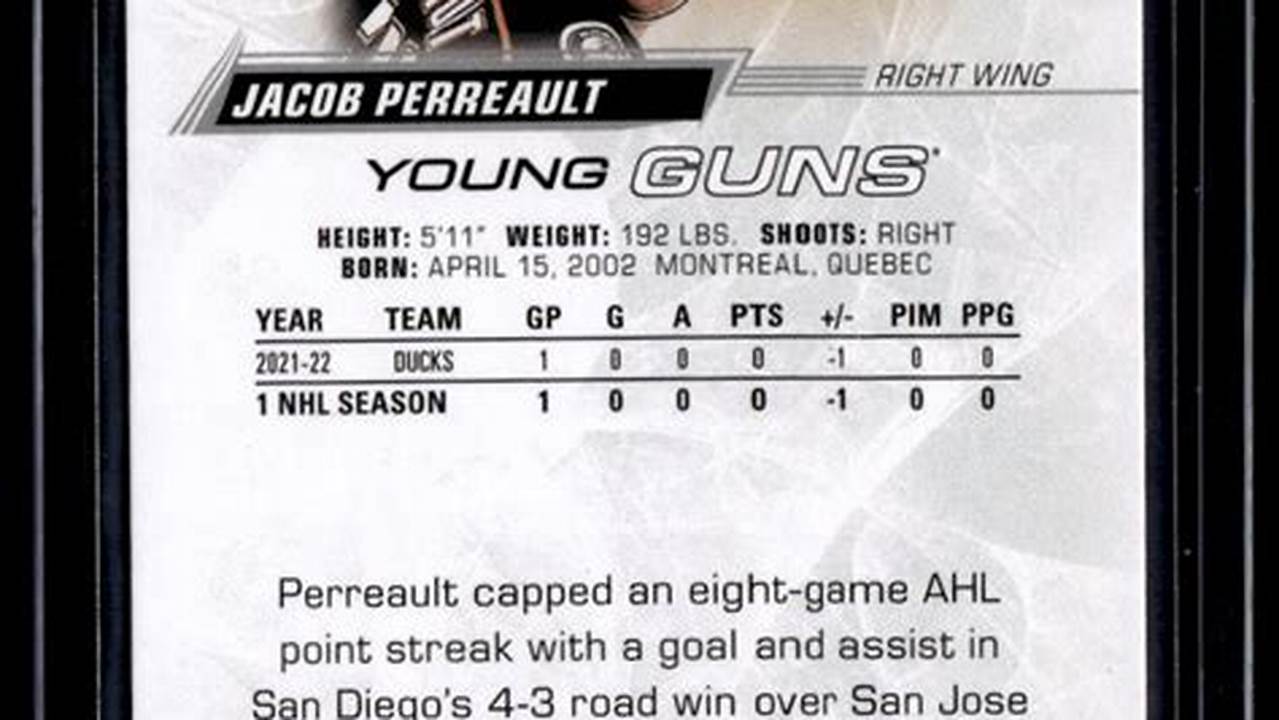 Jacob Perreault: Anaheim Ducks' Rising Star Shines Bright